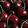Proč stojí za to přidat do stravy třešně: TOP-4 užitečné objevy