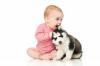 Pes a dítě: pravidla vzájemné adaptace