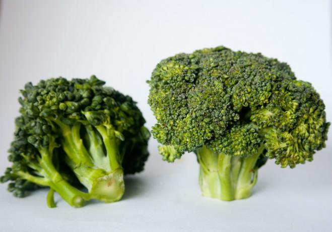 brokolice - 