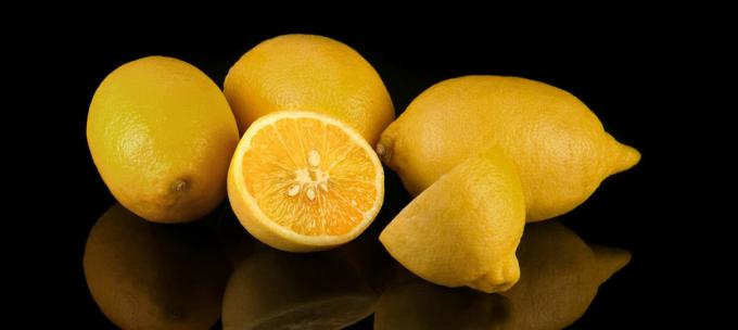 Lemon - citrón
