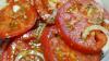 Lahodný šťavnatý rajčata - občerstvení, které se vejdou na jakémkoliv stole