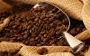 Jak vybrat ty nejlepší kávová zrna?