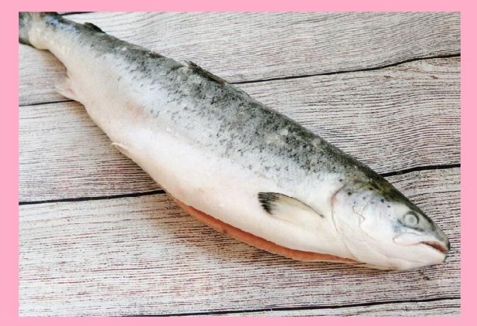 Omega - 3 u ryb (losos)