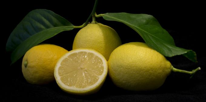 Lemon - citrón