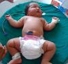 6 až 8 kg: největší novorozenci na světě