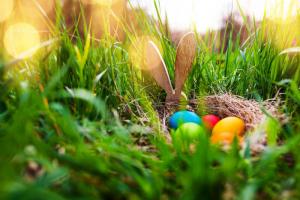 Jak vysvětlit vašemu dítěti význam velikonočního zajíčka a barevných vajíček