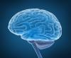 První příznaky nádoru na mozku