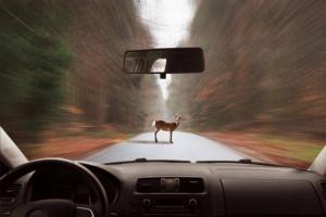 Řidiči pozor na silnicích: 3 hlavní rizikové faktory