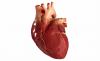 3 hlavní faktory, které způsobují onemocnění srdce