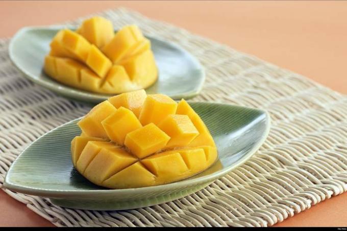 Jak pěstovat mango doma: pokyny krok za krokem