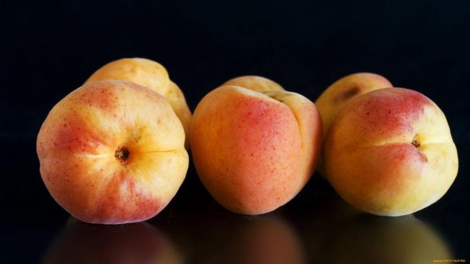 Apricot - meruňka