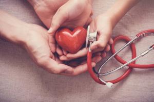 Placentární buňky léčit a zotavit po útoku srdce srdce: vědci