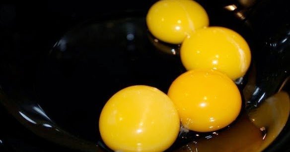 Vaječný žloutek - vaječný žloutek