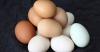Rozptýlil mýtus o kontroverzních škod vajec