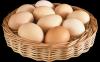 10 vlastností vajec. Mýtus o škodlivosti